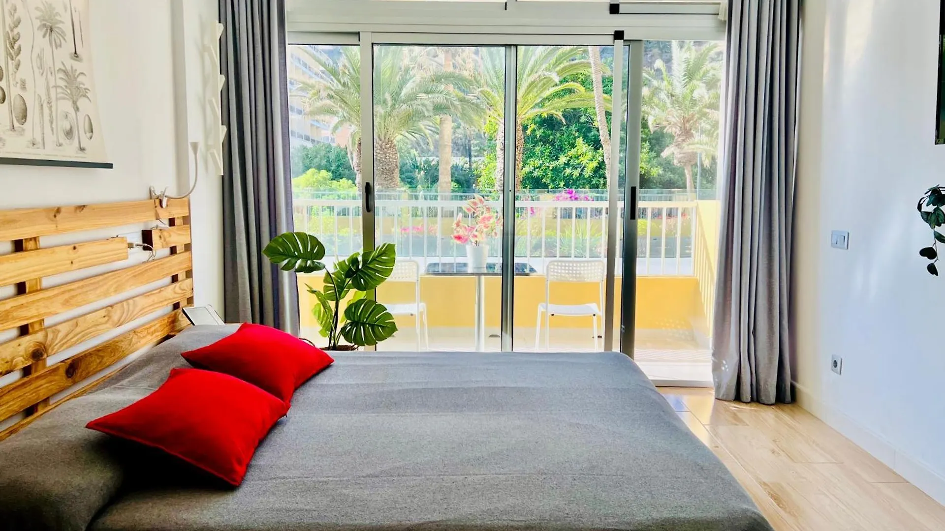 Estudio Tinerfe Puerto de la Cruz
