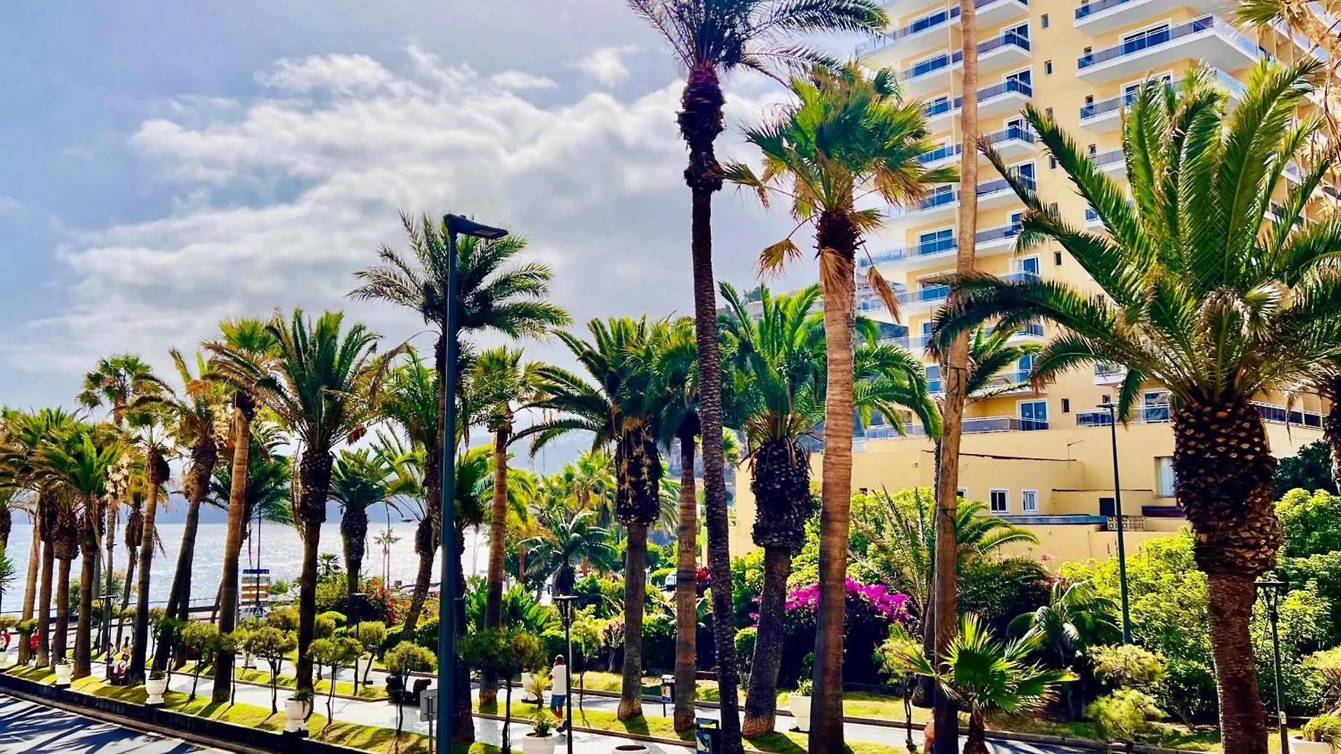 Apartamento Estudio Tinerfe Puerto de la Cruz